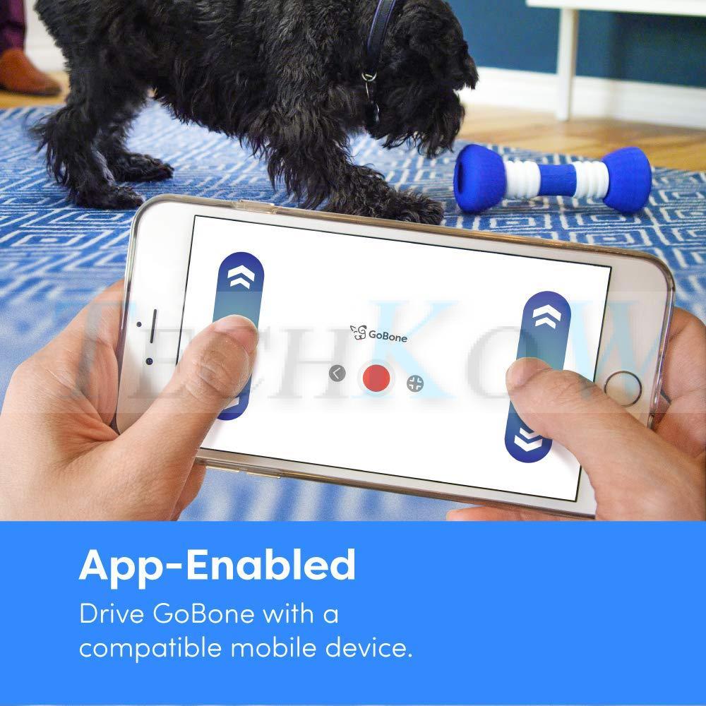 GoBone-Interactive-App-Smart-Bone-for-Dogs