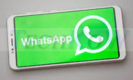 WhatsApp marketing tool